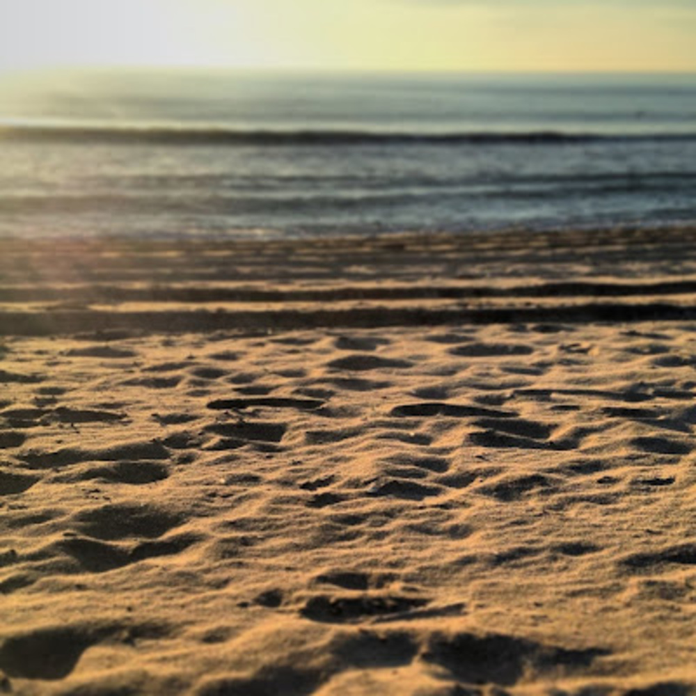 Meet your Posher, Lindsey